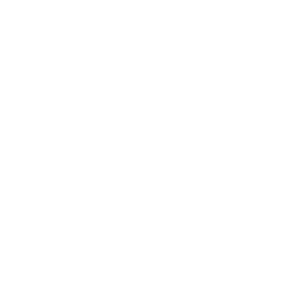 Rhino Automotor